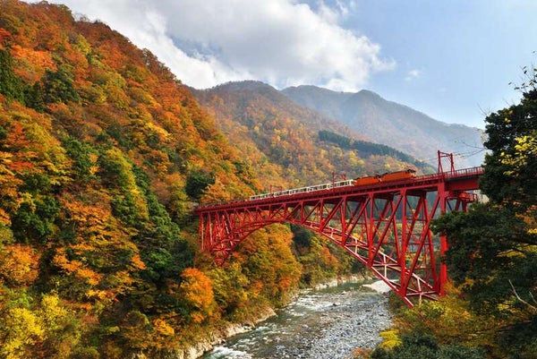 【岩手県・新幹線駅発】 秋色の世界遺産・白川郷、黒部峡谷鉄道トロッコ電車2日間1